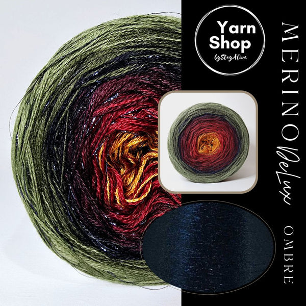 MODL011 Ombre DeLux Yarn Cake Pure Merino Extrafine Superwash 57-1-49-17-35-19+40