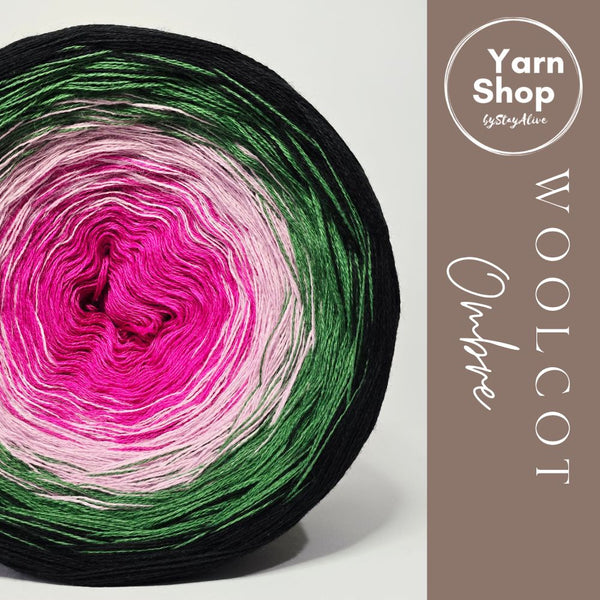 Gradient WO009 Ombre Yarn Cake Woolcot Extrafine 24-23-22-21