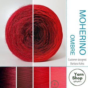 Moherino Ombre Yarn Cake 49-1-13+17