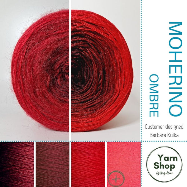 Moherino Ombre Yarn Cake 49-1-13+17