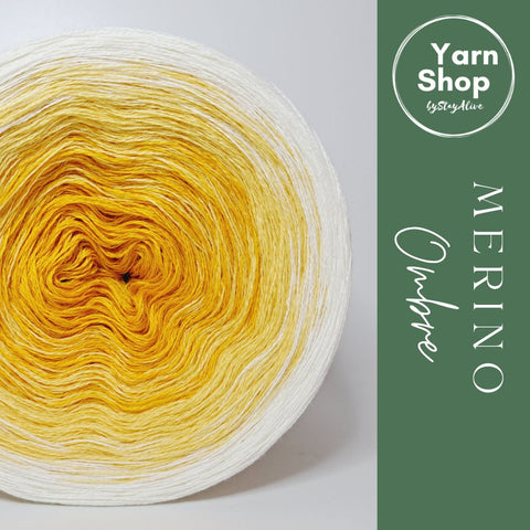 MO006 Ombre Yarn Cake Pure Merino Extrafine Superwash