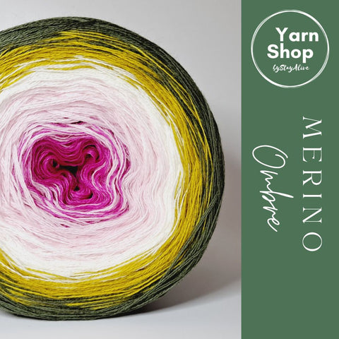 MO012 Ombre Yarn Cake Pure Merino Extrafine Superwash