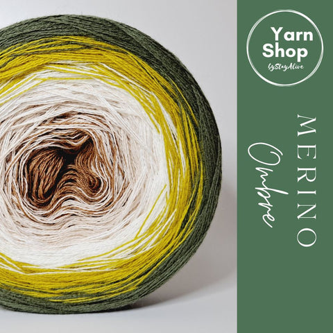 MO013 Ombre Yarn Cake Pure Merino Extrafine Superwash