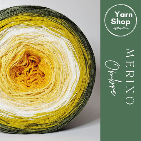 MO014 Ombre Yarn Cake Pure Merino Extrafine Superwash