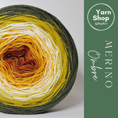 MO015 Ombre Yarn Cake Pure Merino Extrafine Superwash