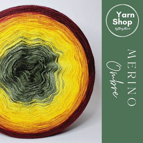 MO020 Ombre Yarn Cake Pure Merino Extrafine Superwash