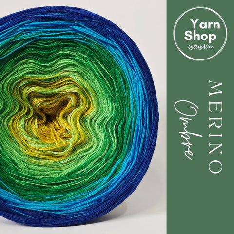 MO072 Ombre Yarn Cake Pure Merino Extrafine Superwash 63-6-7-14-39