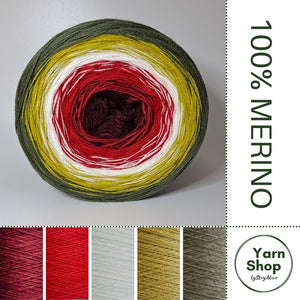 Pure Merino Ombre Yarn Cake 49-13-43-63-19, Extrafine Superwash