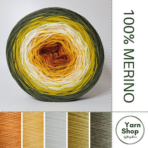 Pure Merino Ombre Yarn Cake 57-51-43-63-19, Extrafine Superwash